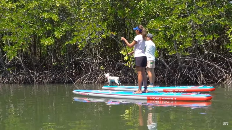 Starboard Touring SUP board video